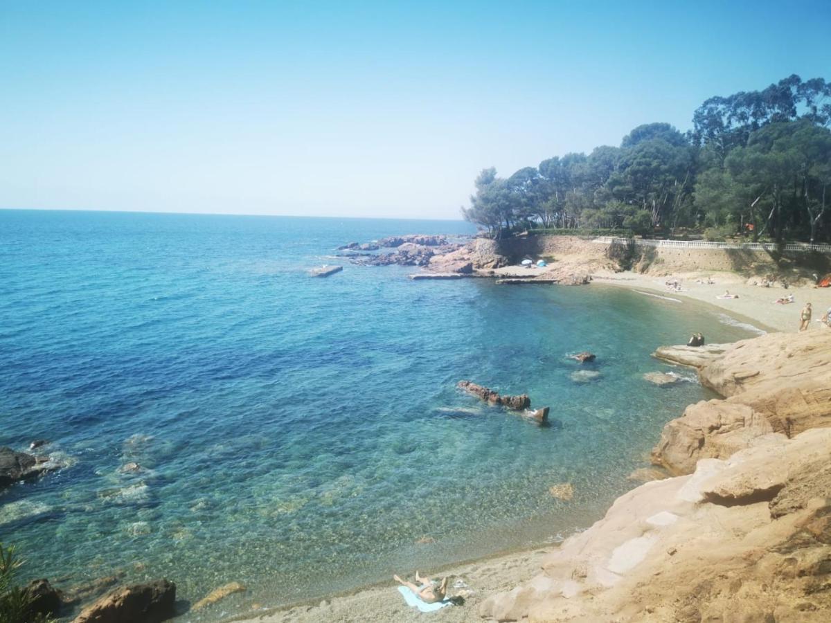 Mobil Home Neuf Camping L Ile Dor Plage St Raphael Avec Piscine Saint-Raphael  Ngoại thất bức ảnh
